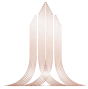 Project Name