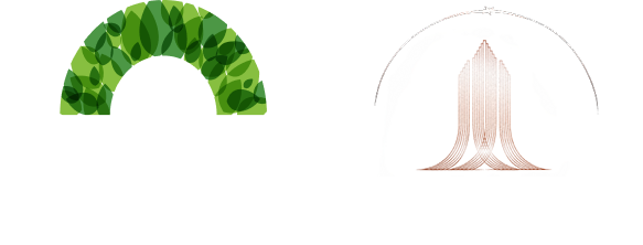 Project Name